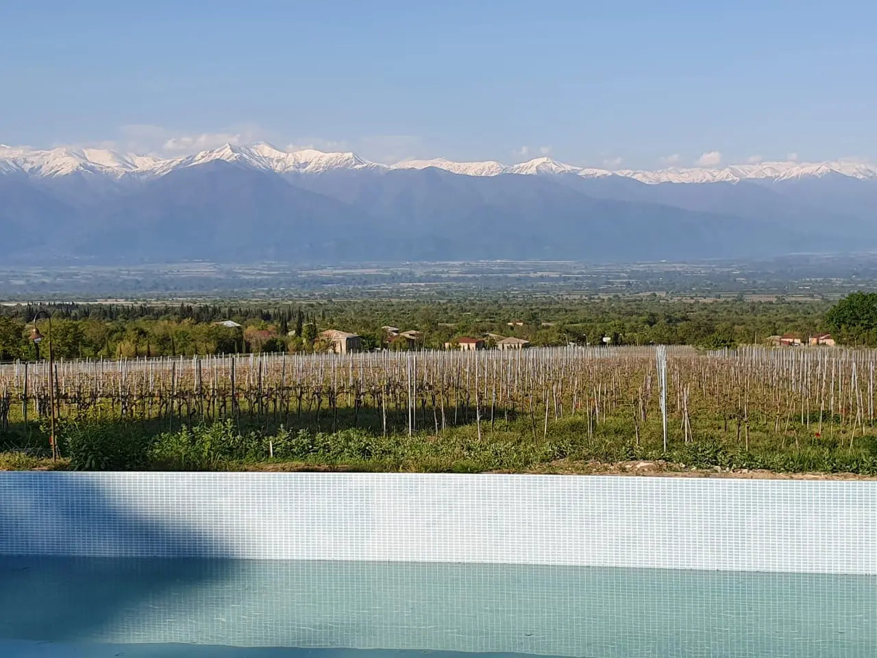 Vazisubani Estate
